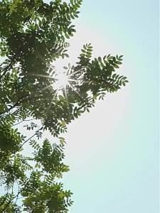 Upgrade Fully automatic umbrella Foldable Portable Payung Automatik Payung Anti UV UPF50+ Sunshade Windproof