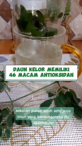 PAKET 10 PCS Teh Seduh Daun Kelor Organik 100% Asli & Alami 40gr | Moringa Tea / Teh Daun Kelor 40gr Grade A Shafid