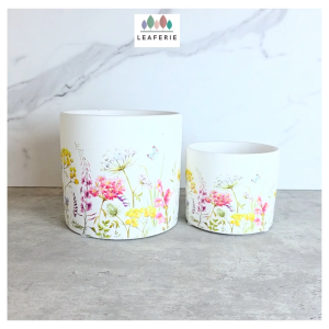The Leaferie Rhea plant pots. flowerpot . flowerpots . flower pot . planter . planters . Ceramic . Plants