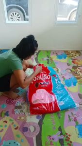 มูงกาง มูงสปริง มูงเต็นท์ มูงกันยุง มูงกางนอน กางอัตโนมัติพักพาสะดวกขนาด 6ฟูทรง 180 x 200 ซม.มูงพับแบบสปริงกางและพับเก็บง่ายน้ำหนักเบา