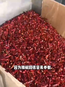 Extremely Spicy Segments 魔鬼辣椒段无籽特辣印度魔鬼椒变态辣香辣巨辣