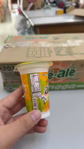 180ml x 24 cups WingsFood Minuman Ale Ale Berperisa Mangga Mango Drink Halal