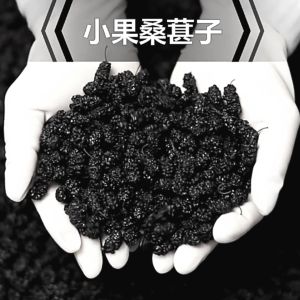 桑葚果干 桑葚茶 乌黑头发 补血养肾 美颜 Dried Mulberry Buah Mulberi (130g)