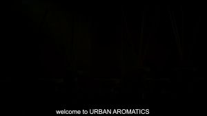 Urban Aromatics Premium Reed Diffuser | Home Fragrance (200ml)