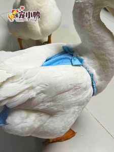 Snap Button Upgrade Adjustable Version Diapers Cole Duck Baby Diapers Diaper Pants Anti-Shit Goose Manure Pocket Pet Chicken Clothes