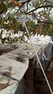 Vợt hái trái cây trên cao đa năng kèm túi vải dụng cụ hái hoa quả kim loại siêu bền đẹp