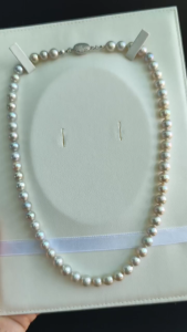 [ Woosilver ] Vòng Cổ Trai Mặn Ánh Bạc Tự Nhiên 2 - Secondhand - NTA226
