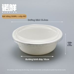 NUOXIAN | Bát Dùng Một Lần Đa Năng