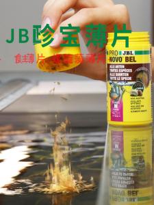 How to Choose & Use JBL Staple Food Slices for Tropical Fish