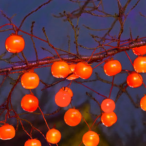 BEAUTY IN THE LIGHT | Festival Decorative Outdoor String Lights