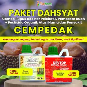 Pupuk Topfarm / Pestisida Topfarm / Pupuk Buah Cempedak / Pupuk Nangka Cempedak / Pupuk Pelebat Buah Cempedak Nangkadak / Obat Hama Nangkadak Cempedak / Obat Pembesar Buah Cempedak / Pupuk Pohon Cempedak Terbaik