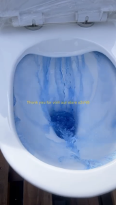 SANIWARE WC2093A Elegant Rimless One-Piece Water Closet S-Trap 100/150/200/250mm - High-Quality Bathroom Toilet Bowl