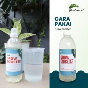Vitamin B1 Tanaman Organik Grow Booster 1 Liter