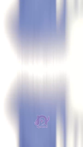 ZIPPER COLLAR BARTOW SWEATSHIRT | SWEATER SLETING KERAH (PH)