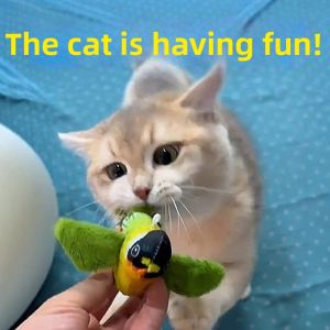 Petone dOrage | Interactive Singing Bird Toy Swinging Cat Teaser