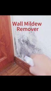 Wall Mold stain remover spray (Japan Technogy) Mold Remover Spray Mildew Spot Removal Cleaner Pembersih Kulat Kotoran Dinding