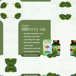 BILBERRY ON | Capsul ekstrak ampuh untuk masalah mata | 30 Capsul 100 % ORIGINAL