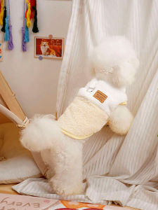 VOA | Warm Pet Dog Clothes with Leash