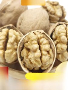185 Paper Shell Raw Walnut Xinjiang Ak Su Original Flavor Loose Pack 500g Bagged Nuts New Stock Snacks/Berries/Nuts/Local Specialties