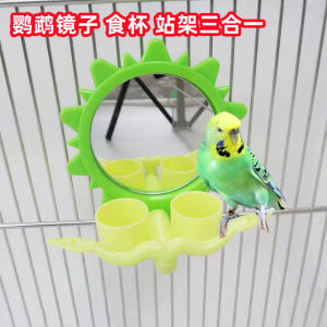 Double-Billed Bird Feeder with Mirror Stand for Small Birds like Parrots And Canaries Educational Feeder Pet Supplies