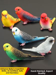 MENGSILE | Educational Solid Parrot Model Toys
