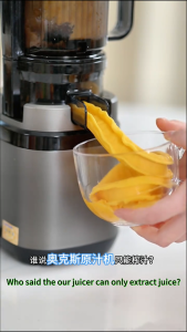 Electric Slow juicer Cold press slow masticating juicers fruit extractors Unique Filter Wide Feeding Chute Detachable Easy Clean juice blender