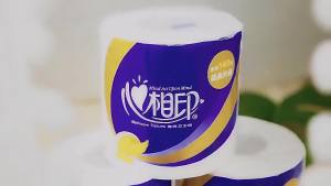 XINXIANGYIN Toilet Paper Roll 4Ply Ultra Soft Skin Care Tissue(10rolls/pack)