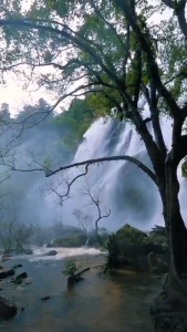 แฟลซไดร์ฟ USB-MP3 รวมเพลงสากลฮิต 3 DIVAS ยุค 90s ระดับตัวแม่ในตำนาน (คัดพิเศษ 100 เพลง)