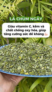 [Túi lớn loại 500gram] Lá chùm ngây sấy khô hàng sạch chất lượng cao - Tấn Phát