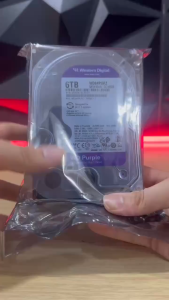 Ổ Cứng HDD Western Digital Purple 6TB WD64PURZ (3.5Inch/5640rpm/Cache 256MB/SATA3)-Hàng Chính Hãng