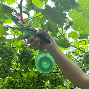 Máy buộc cành nhẹ nhàng thao tác nhanh kìm buộc thân leo cà chua nho dưa leo bộ dụng cụ làm vườn kèm băng dính ghim