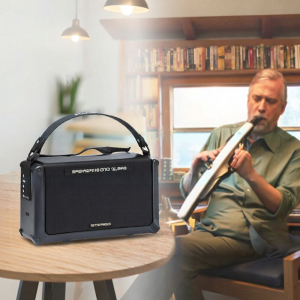 Portable Speaker