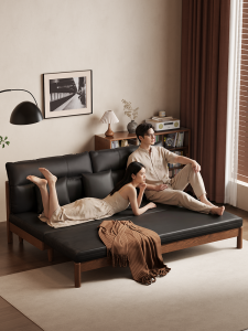 DONGMU | Foldable Extendable Sofa Bed