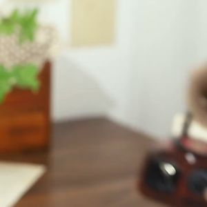 🔥Ready Stock🔥Retro gramophone music box music box modeling pieces