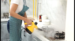 Steam Cleaner High Temperature And High Pressure Household 1000W/800W Portable Handheld Multifunctional 220V/3.5BAR High Power Efficient Antivirus And Sterilization Cleaner Machine Powerful Stain Removal