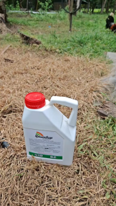 Roundup 1 Gallon Herbicide Systemic Glyphosate for Grass & Broadleaf Weed Control Philippines