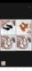 Nissa Shoes16