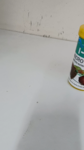 120gram Palet Mikro Guppy Protein Tinggi High Protein Guppy Micro Pellets – Fast Growth Formula