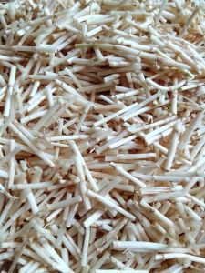 Paket Ptaktis 1 Kg Akar Alang-alang 3 Cm Untuk Batu Ginjal )anas Dalam Ampuh Alami Langsung Petik