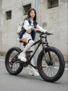 HONGQI | Wide Tyre Shock Absorbing All-terrain Mountain Bike