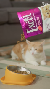 [ PROMO ] Excel Cat Food Tuna 500 gr / Makanan Kucing 500gr / Premium Quality