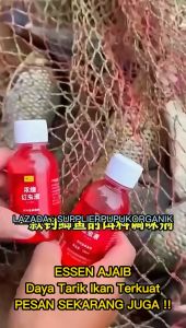 TERVIRAAL!!! Essen Ikan Lele Paling Gacor, Essen Ikan Patin Media Pelet