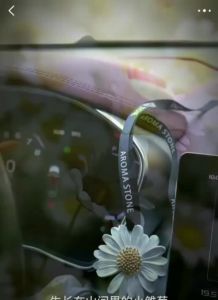 Peony Rose Closet Plaster Aromatherapy Pendant Silicone Mould Flower Car Rearview Mirror Decoration Pendant Drip Molds