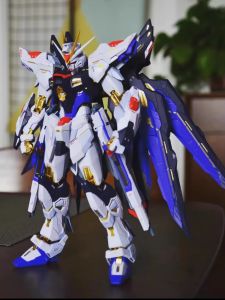 Gundam Model Big Class HG Forced Attack Free Newborn Destiny Mg Red Heresy Assemble Zhiyi Toy Mecha Hand-Made Men