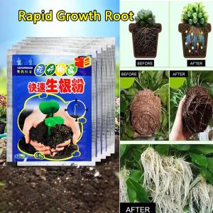 （Local）1Pcs Rapid Growth Root Medicinal Fast Rooting Powder Garden Rooting Powder Hormone Regulators