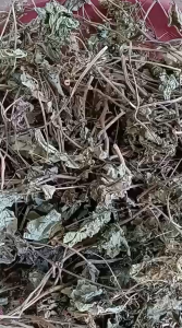 Daun Bengkoang Kering / Daun Bengkuang Kering Herbal Alami
