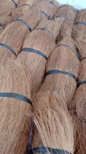 Coco bristle sabut kelapa cocofiber media tanam sabut kelapa