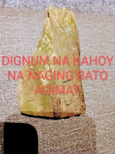 DIGNUM NA KAHOY NA NAGING BATO AGIMAT