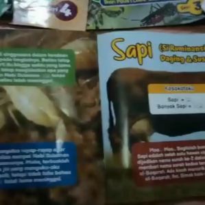 Ensiklopedi Hewan 12 Tema: Pengetahuan Dunia Binatang