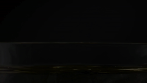 Renmaz Constant Temperature Wine Cooler (12-73 Bottle) - Single/Dual Zone No Frost Humidity Low Noise  HDB/Condo/House